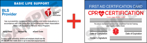 Sample American Heart Association AHA BLS CPR Card Certification and First Aid Certification Card from CPR Certification Jackson