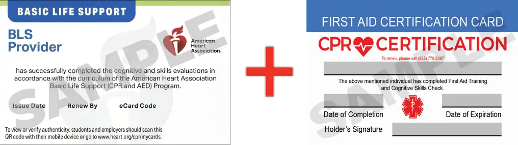 Sample American Heart Association AHA BLS CPR Card Certification and First Aid Certification Card from CPR Certification Jackson