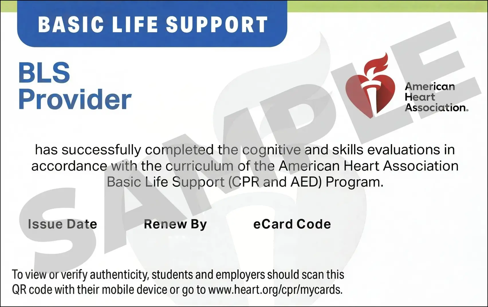 Sample American Heart Association AHA BLS CPR Card Certification from CPR Certification Jackson